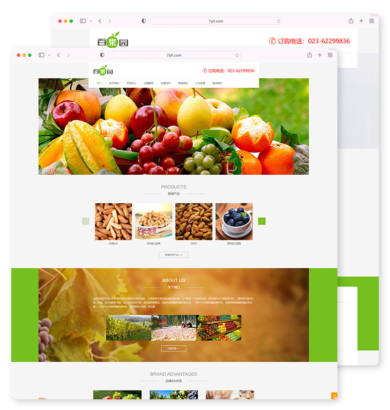 果园水果订购类网站 蔬菜水果农产品网站